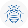 Bed Bug Extermination In Walthamstow